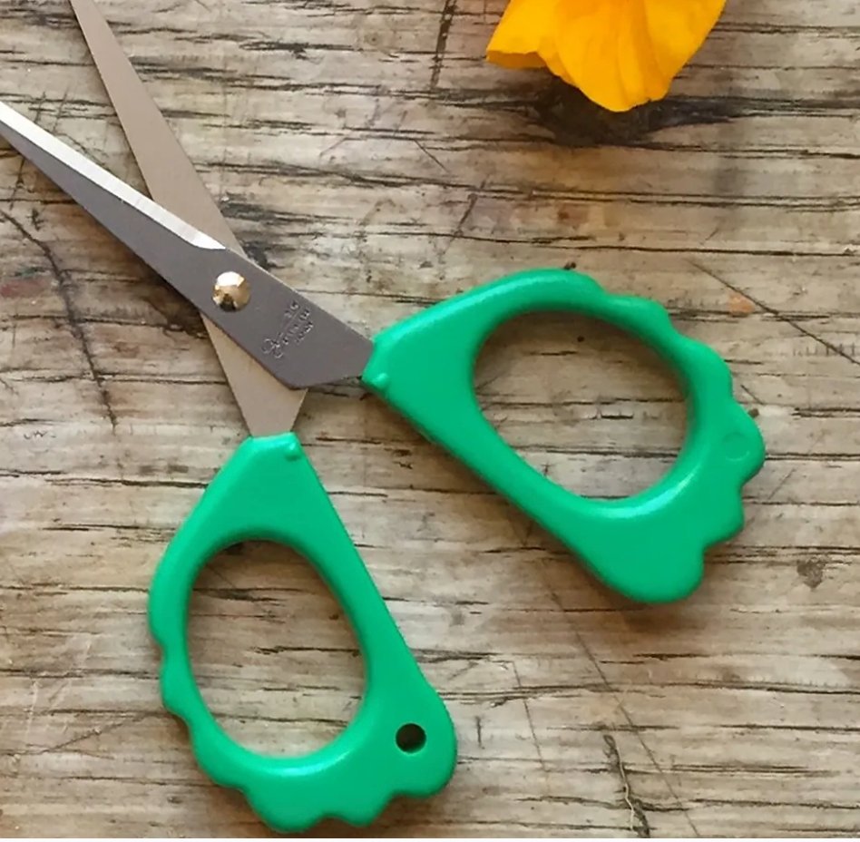 Carrot Fridge Magnet Scissors