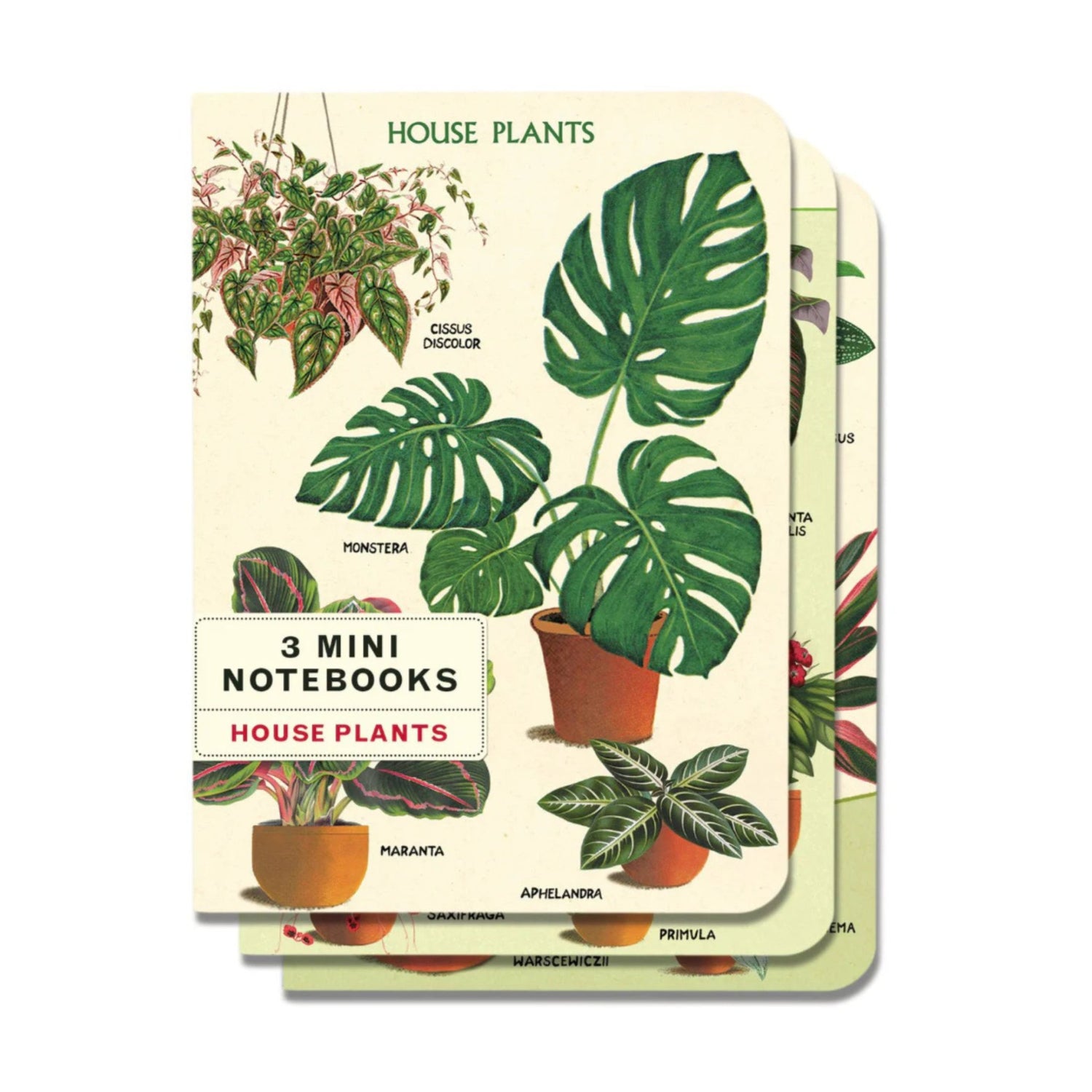 3 Mini Notebooks - House Plants - The Flower Crate