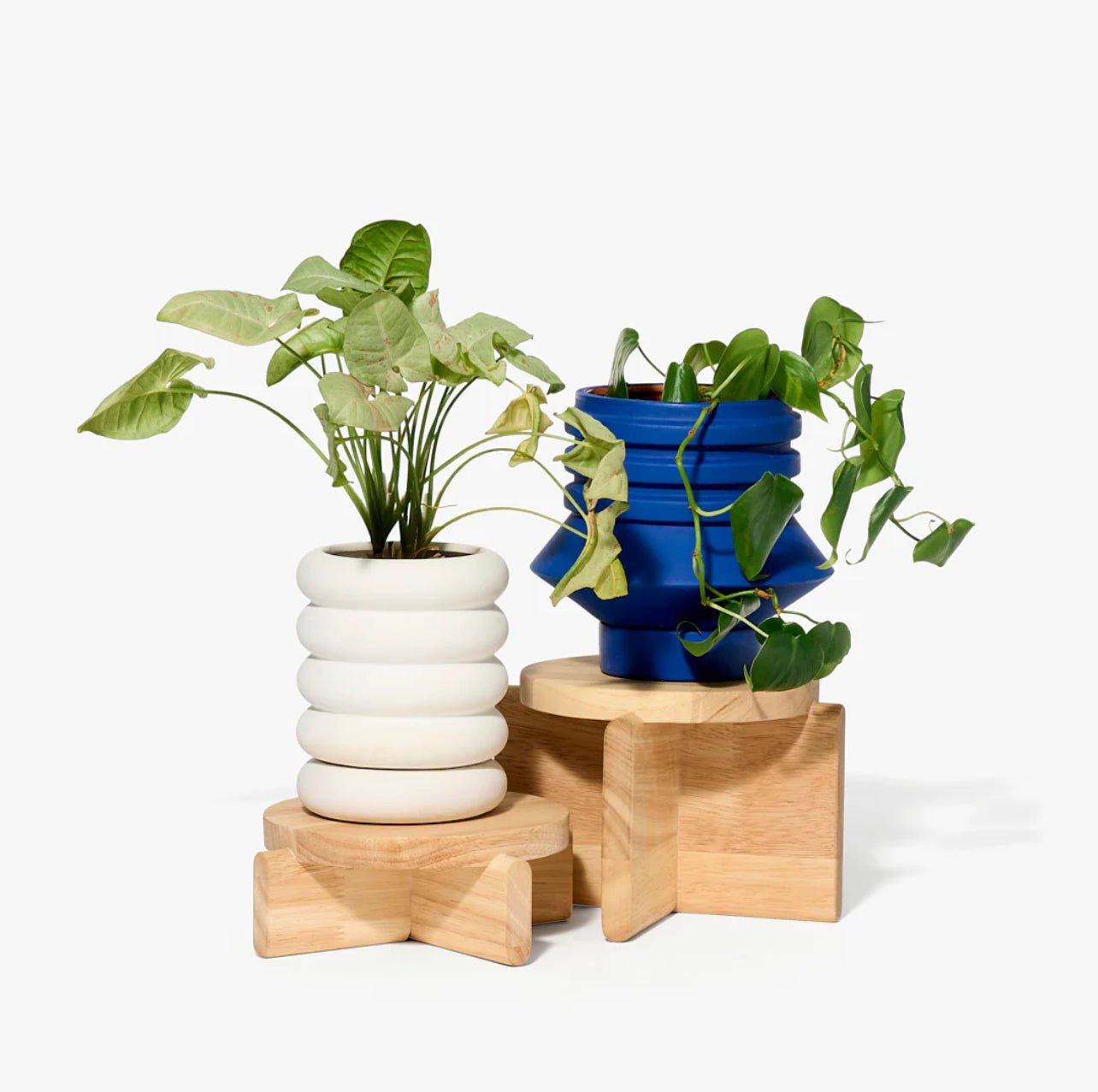 Areaware Pedestal Pot Stand - The Flower Crate