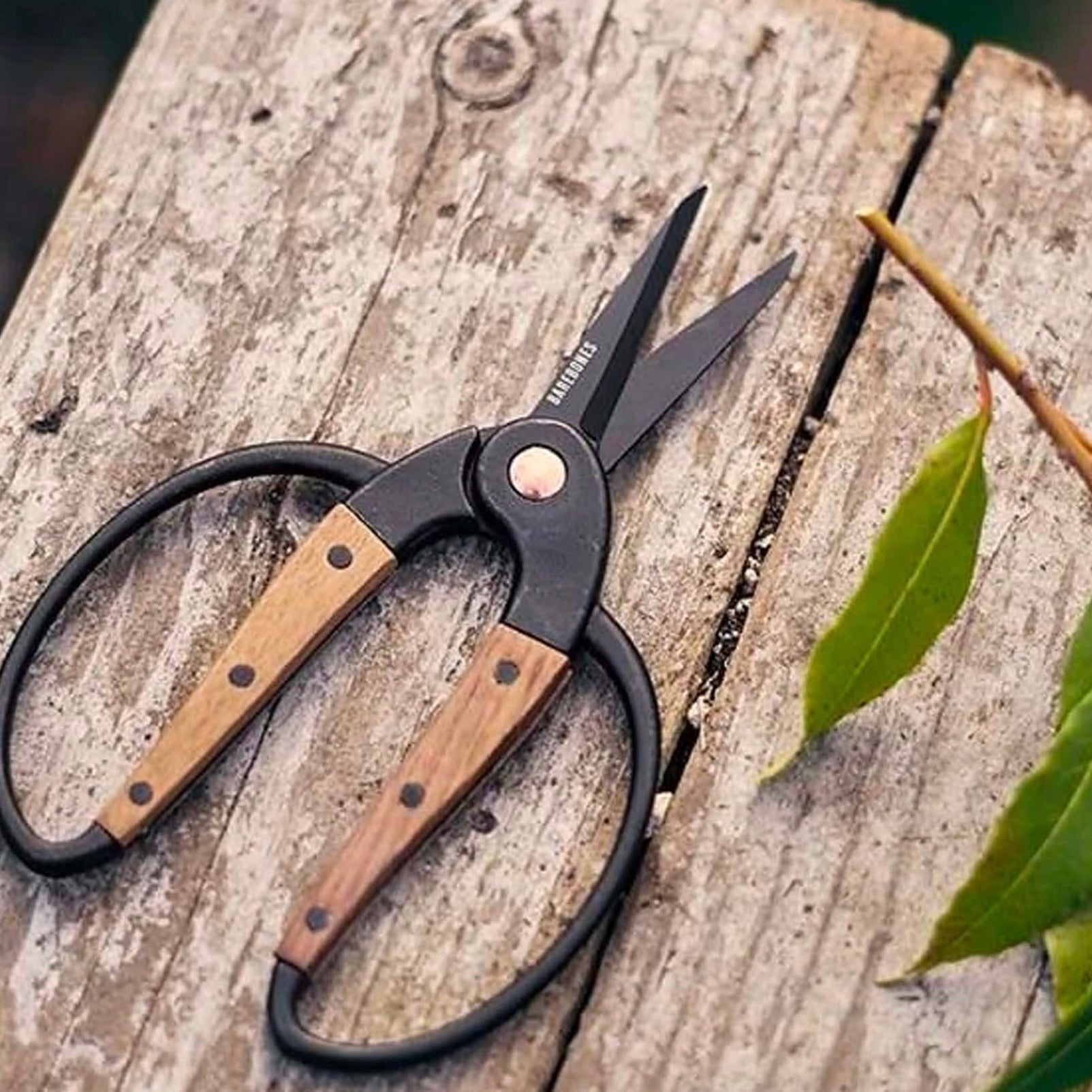 Barebones - Walnut Garden Scissors - The Flower Crate