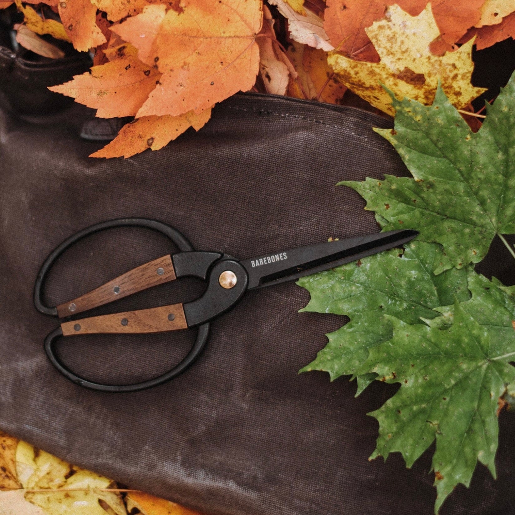 Barebones - Walnut Garden Scissors - The Flower Crate