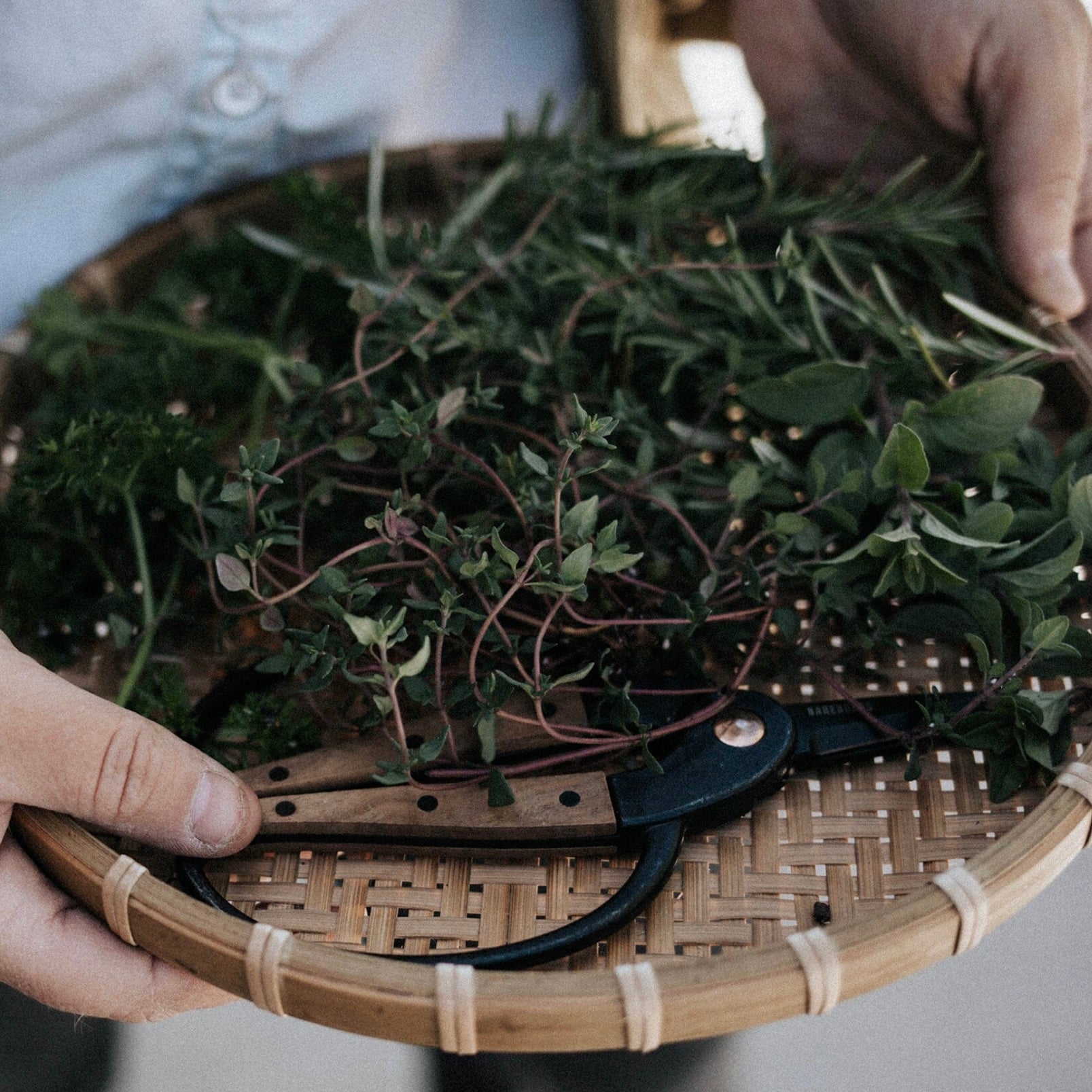 Barebones - Walnut Garden Scissors - The Flower Crate