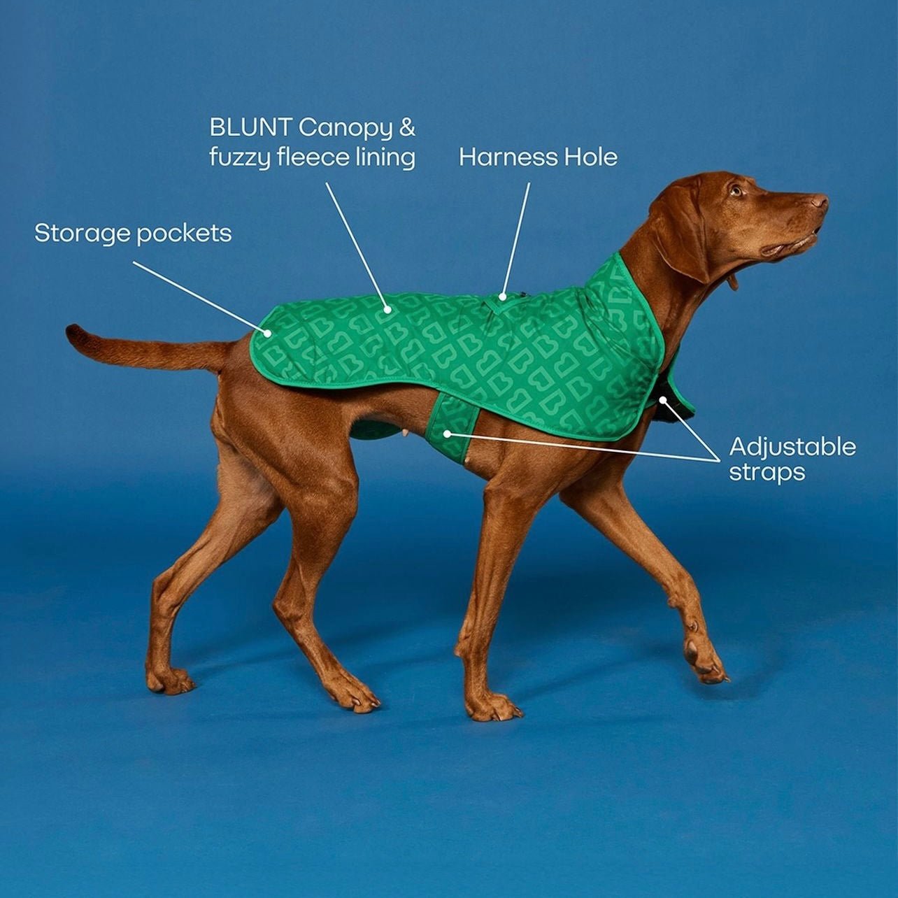 Blunt - Dog Jacket, Park Green - The Flower Crate