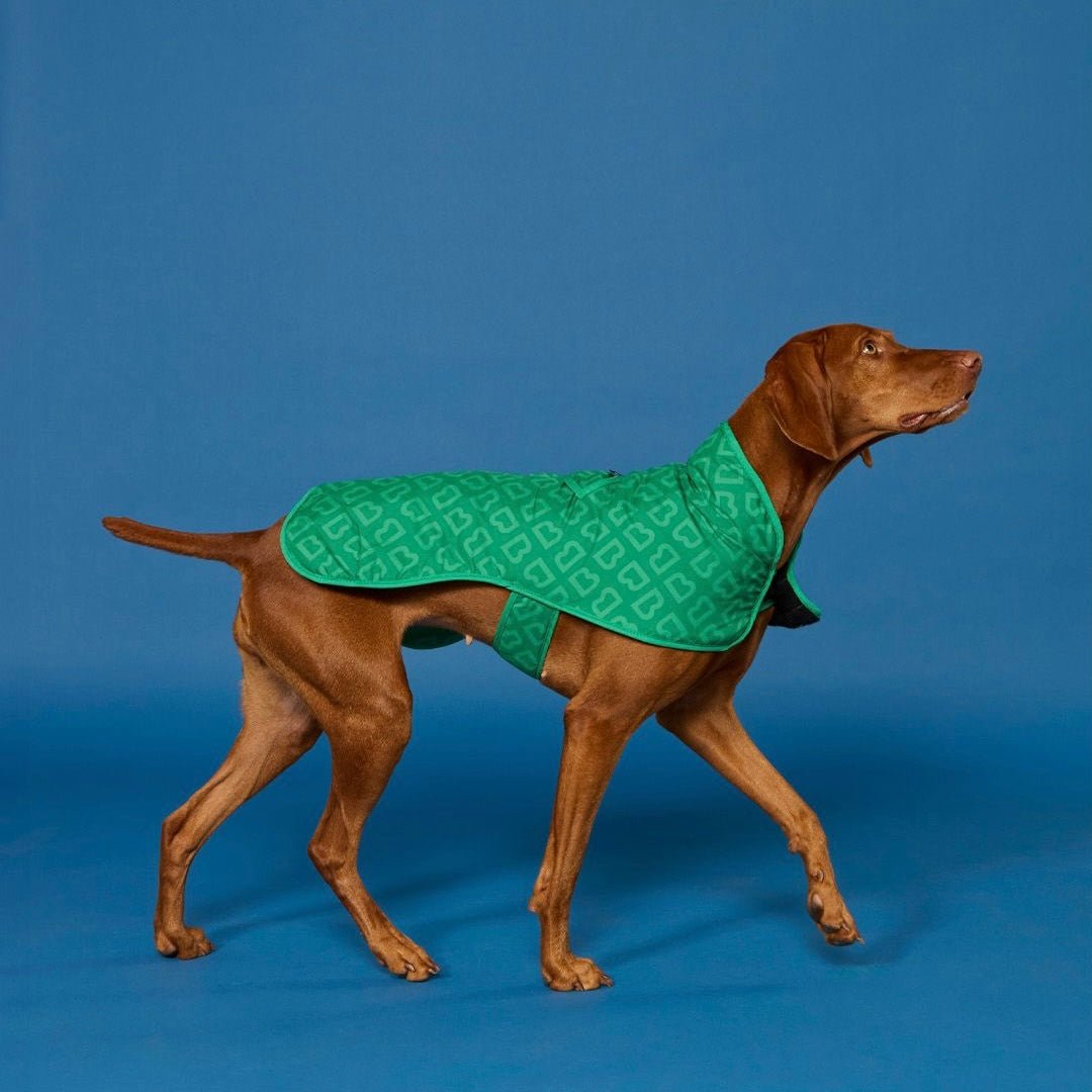 Blunt - Dog Jacket, Park Green - The Flower Crate