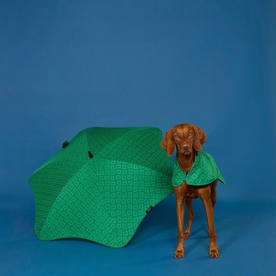 Blunt - Dog Jacket, Park Green - The Flower Crate