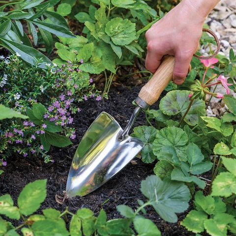 Burgon &amp; Ball - Groundbreaker Trowel - The Flower Crate