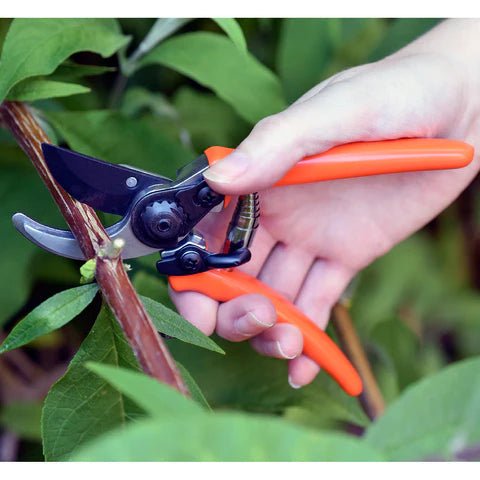 Burgon &amp; Ball - Micro Secateurs - The Flower Crate