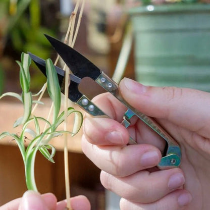 Burgon &amp; Ball - Mini Snips - The Flower Crate