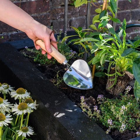 Burgon &amp; Ball - Planting Trowel - The Flower Crate