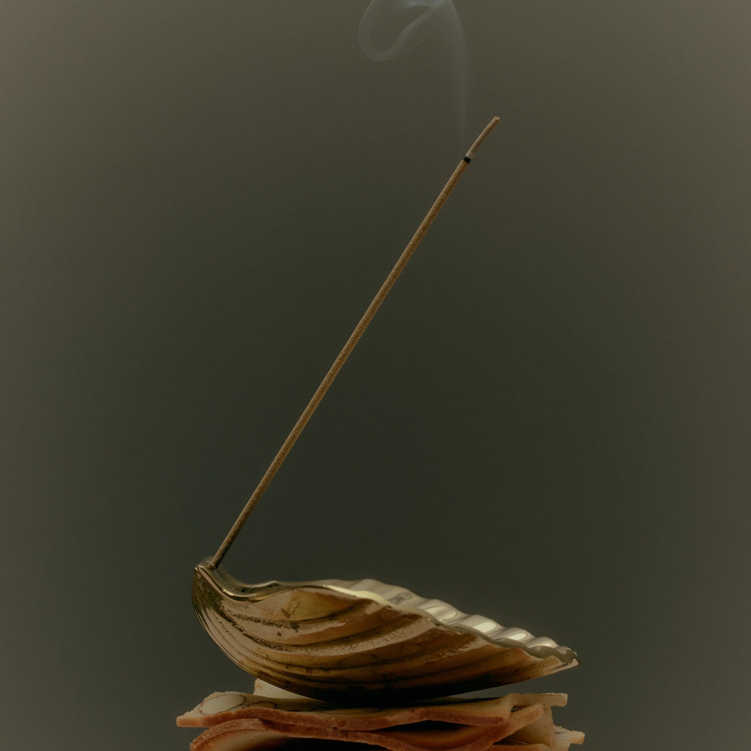 Corey Ashford - Scallop Incense Holder, Brass - The Flower Crate