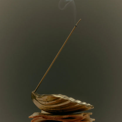 Corey Ashford - Scallop Incense Holder, Brass - The Flower Crate