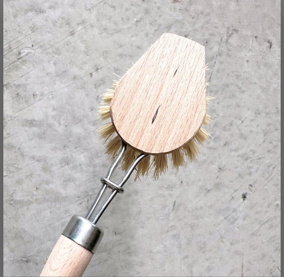 Dish Brush, Pointed Head - The Flower Crate