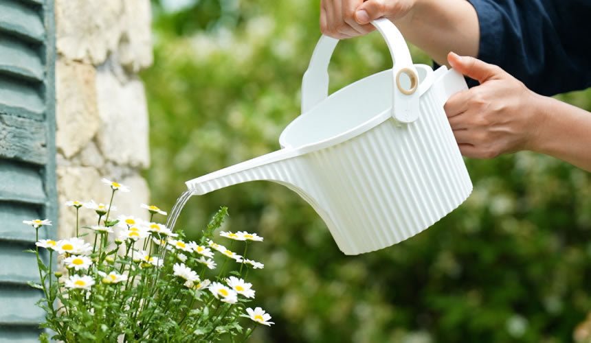 Hachiman - Beetle Watering Can, 1.5l - The Flower Crate