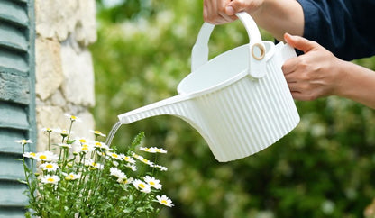 Hachiman - Beetle Watering Can, 1.5l - The Flower Crate