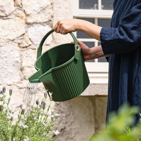 Hachiman - Beetle Watering Can, 5L - The Flower Crate