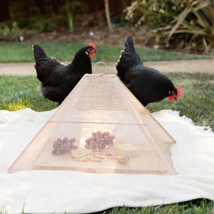 Handmade Collapsible Woven Food Tent, Light Rose - The Flower Crate