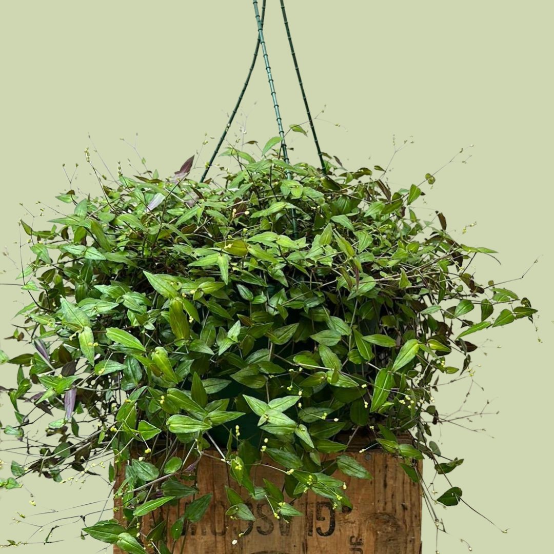 Hanging Bridal Veil - The Flower Crate