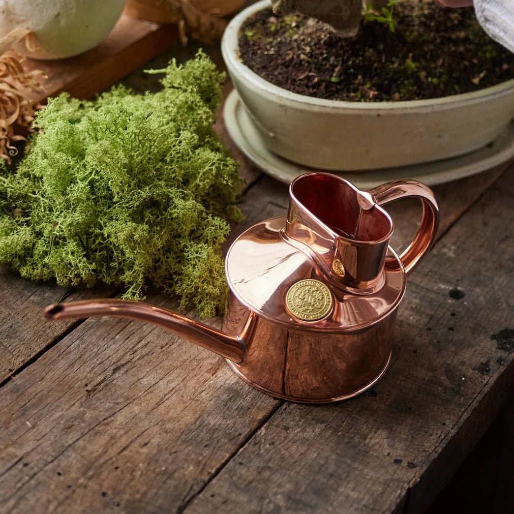 Haws Copper Watering Can - 1 Pint - The Flower Crate