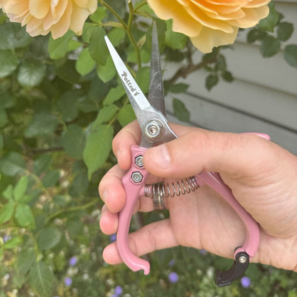 Indoor Plant Snips, Dusty Rose - The Flower Crate