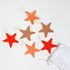 Muskhane - 6 Festive Hanging Stars, Harmony Blush - The Flower Crate