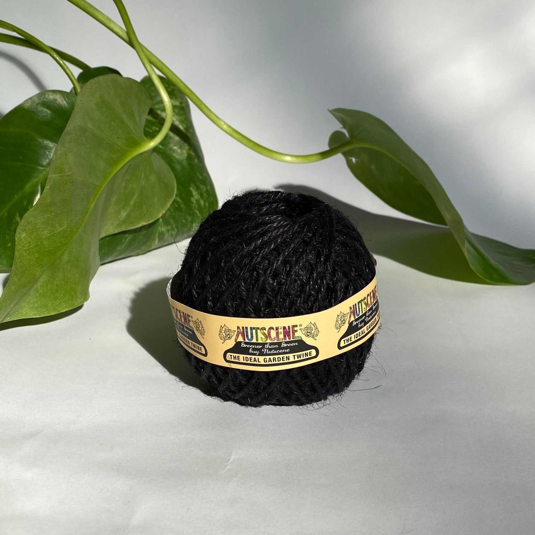 Nutscene Twine Ball - Black - The Flower Crate