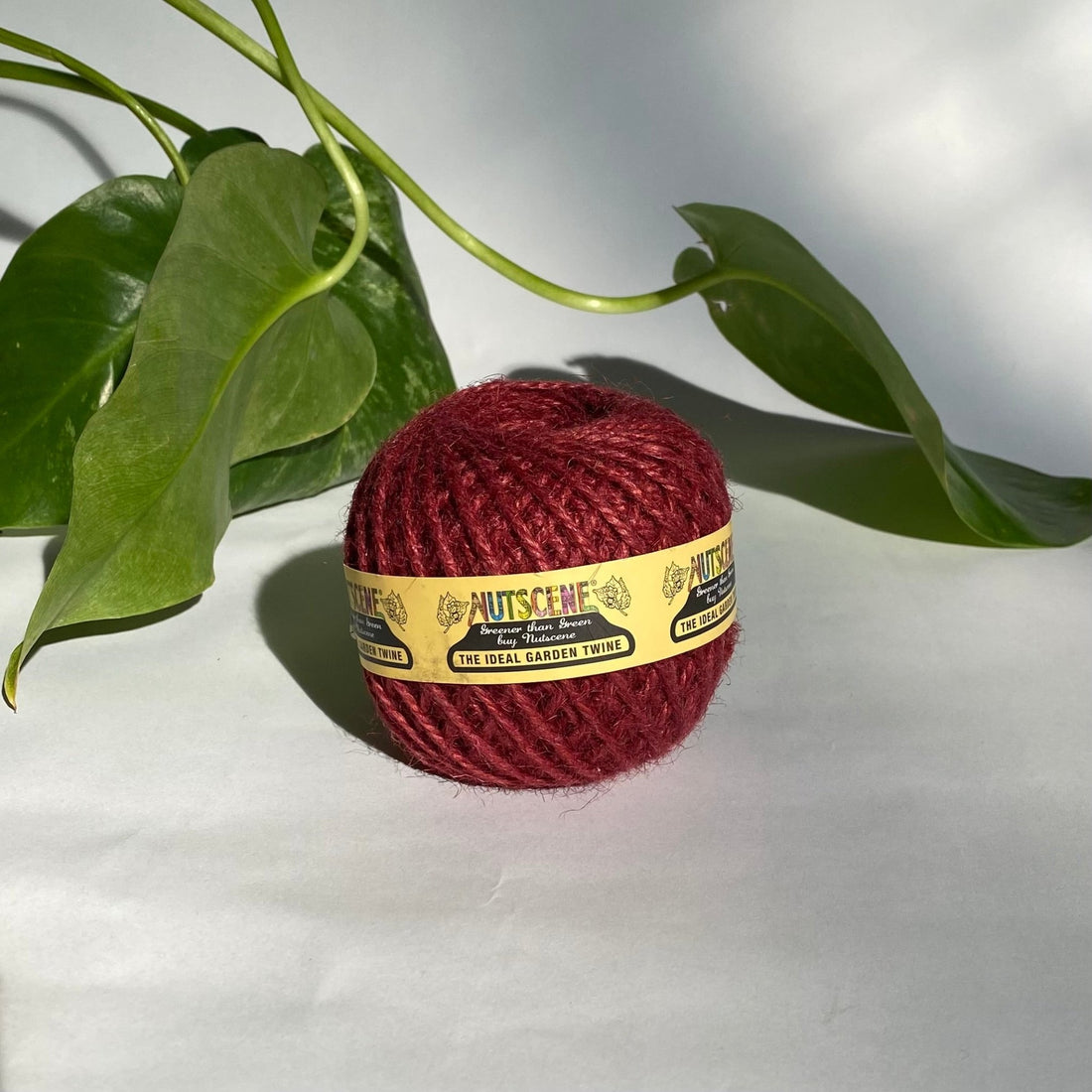Nutscene Twine Ball - Red - The Flower Crate