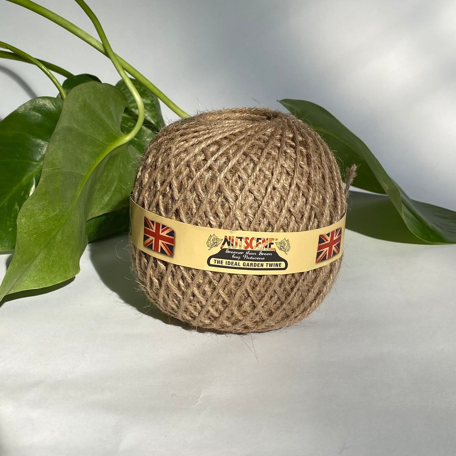 Nutscene Twine Balls - Natural - The Flower Crate