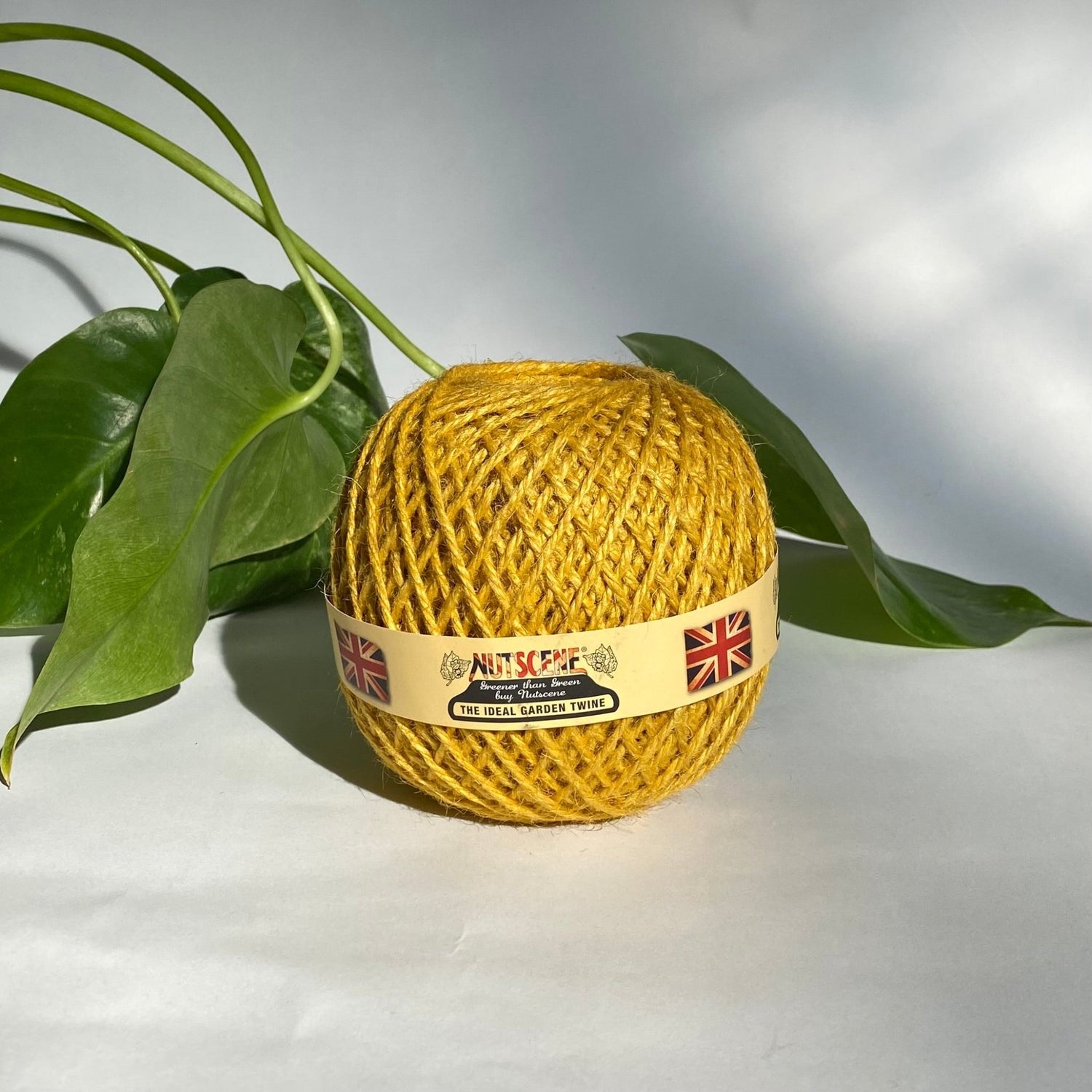 Nutscene Twine Balls - Saffron - The Flower Crate