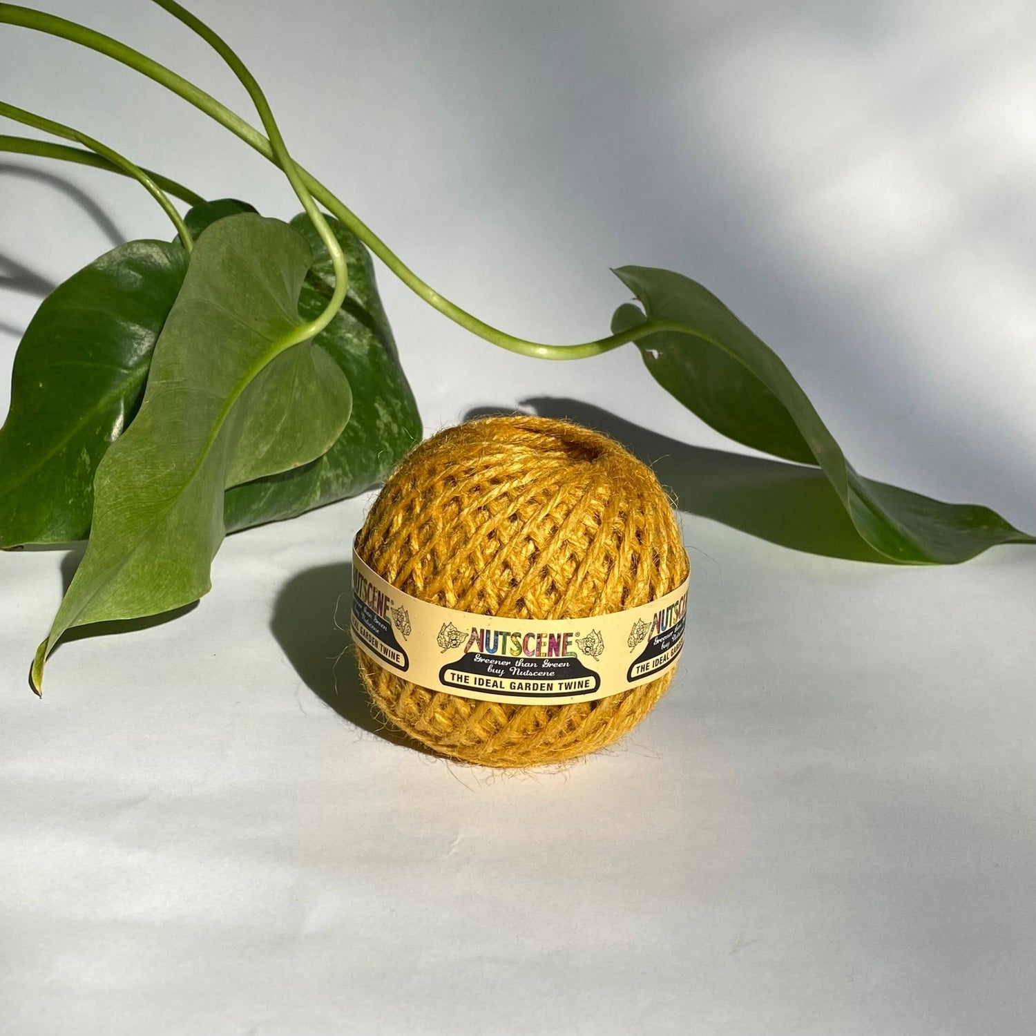 Nutscene Twine Balls - Saffron - The Flower Crate