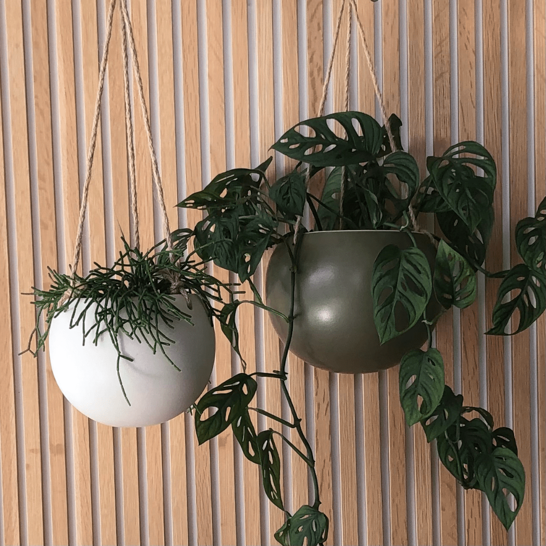 Orbit Hanging Planter, Large Jade - The Flower Crate