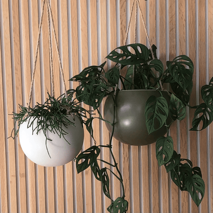 Orbit Hanging Planter, Large Jade - The Flower Crate