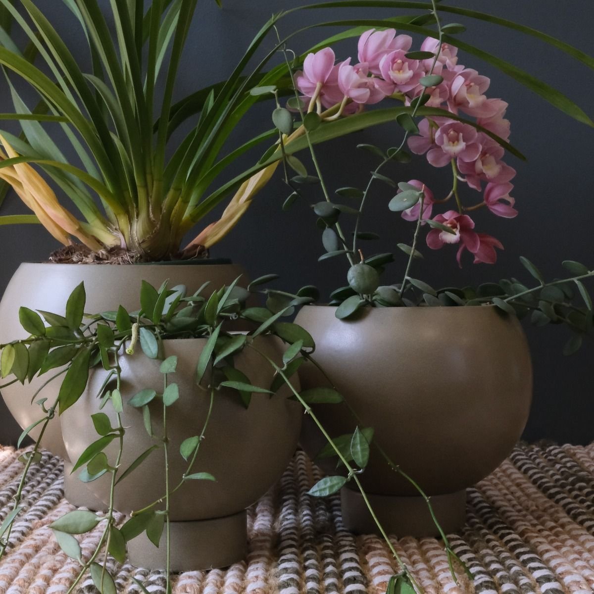 Orbit Plant Pot, Medium Jade - The Flower Crate