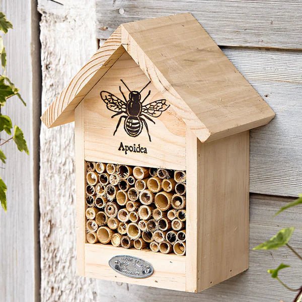 Pine Bee House - The Flower Crate