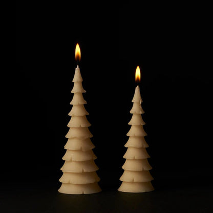 Queen B - 2 Pack Fir Tree Candles - The Flower Crate