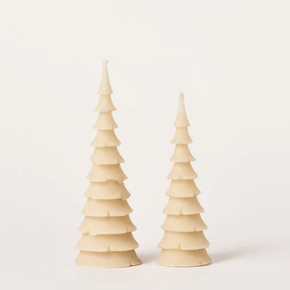 Queen B - 2 Pack Fir Tree Candles - The Flower Crate