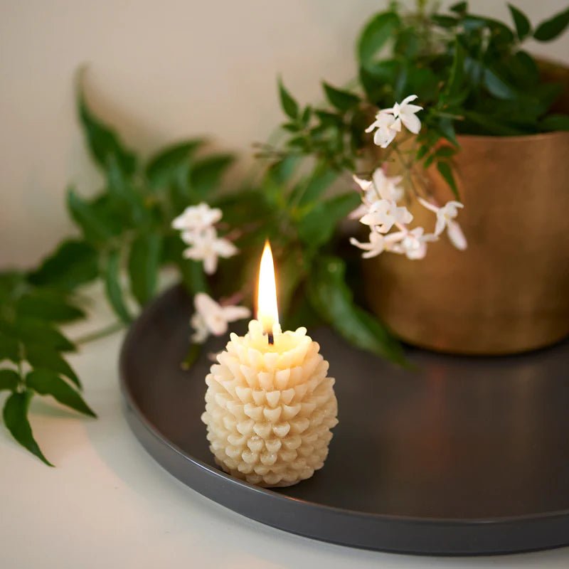 Queen B - 2 Pack Small Pine Cone Candles - The Flower Crate