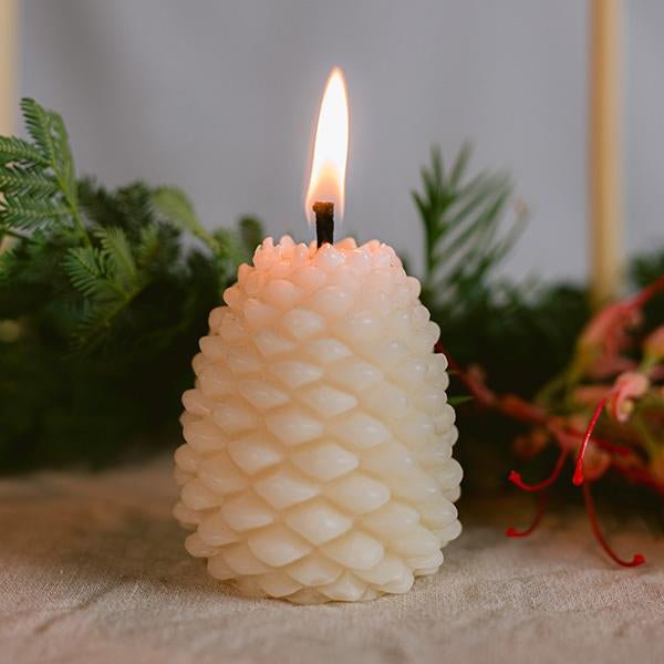 Queen B - Large Pine Cone Candle - The Flower Crate