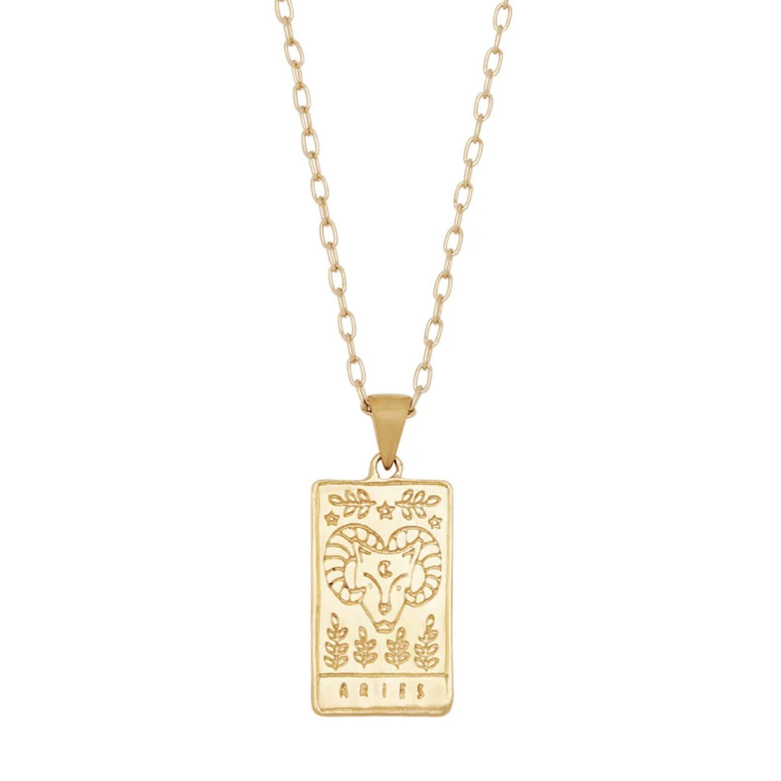 S - kin Studio, Aries Zodiac Necklace - The Flower Crate