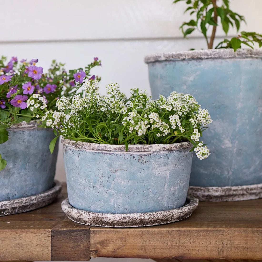 Sea Blue Wide Plant Pot &amp; Saucer - The Flower Crate