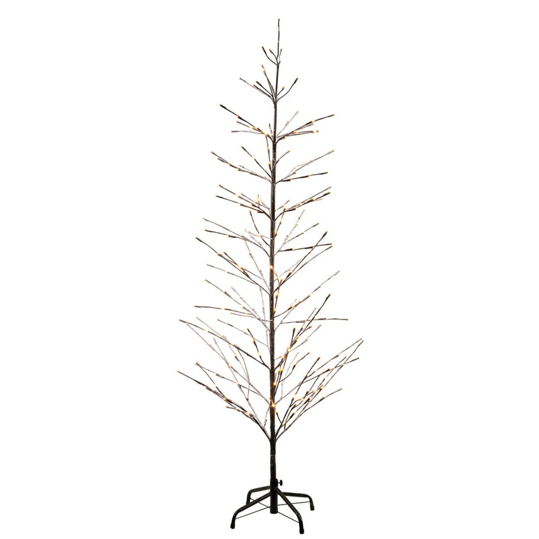 Sirius Illuminated Isaac Christmas Tree - The Flower Crate