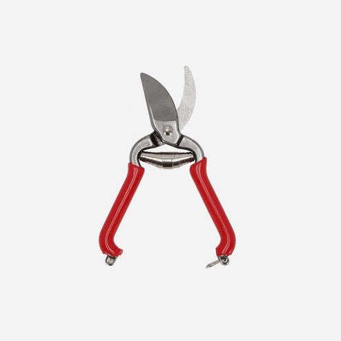 Stainless Steel Pruner - The Flower Crate