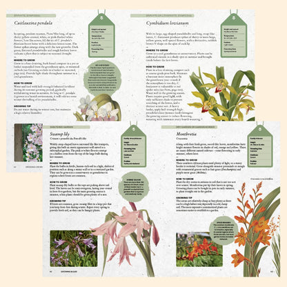 The Kew Gardener’s Guide To Growing Bulbs - The Flower Crate