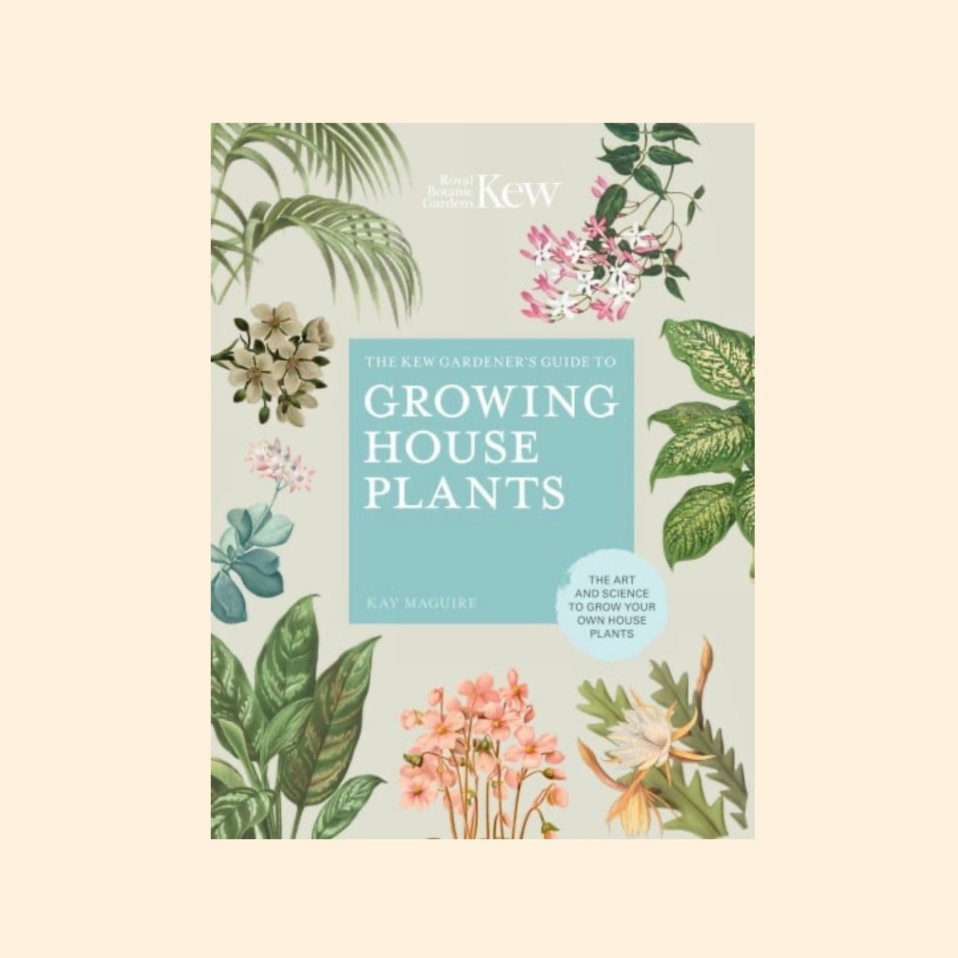 The Kew Gardener’s Guide To Growing House Plants - The Flower Crate