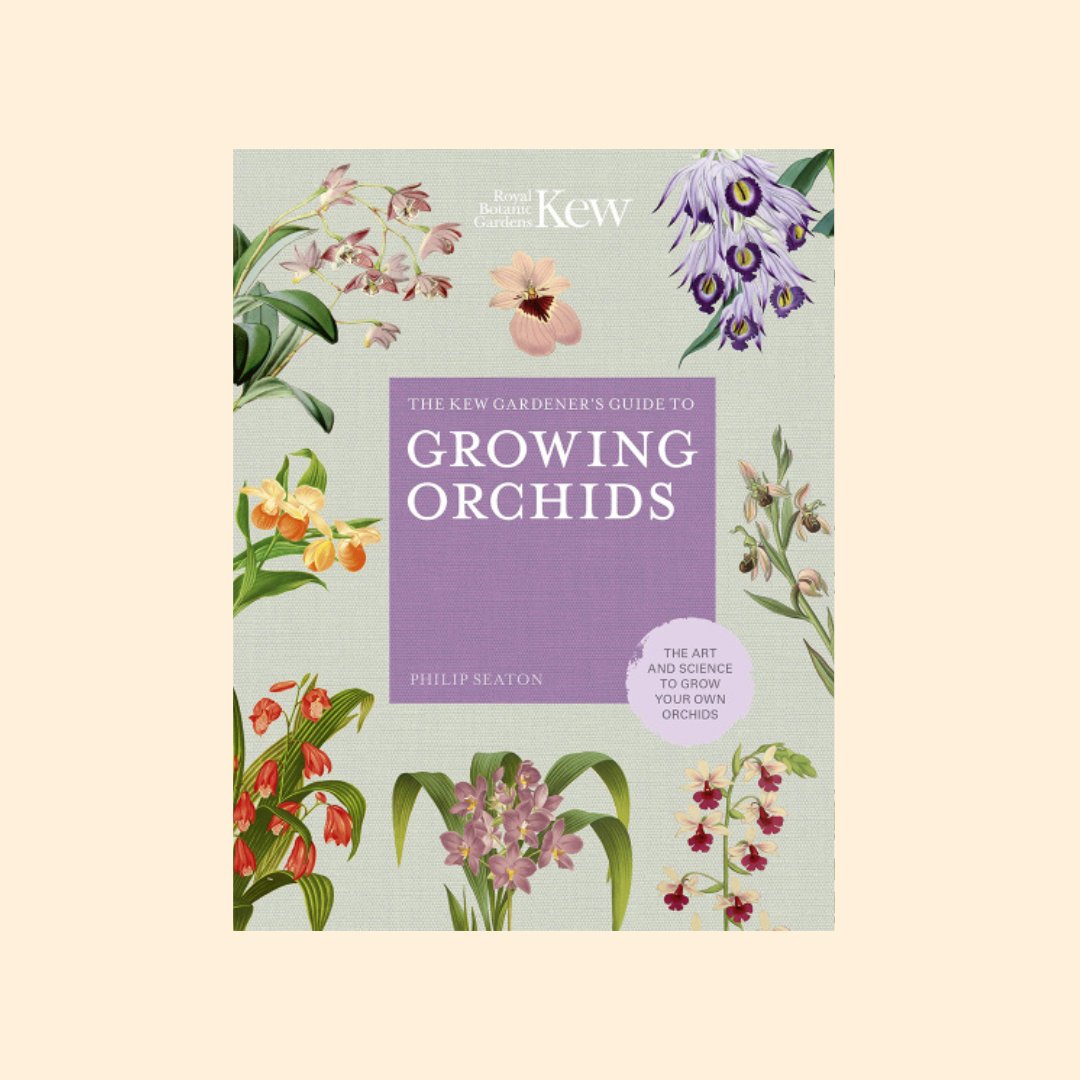 The Kew Gardener’s Guide To Growing Orchids - The Flower Crate