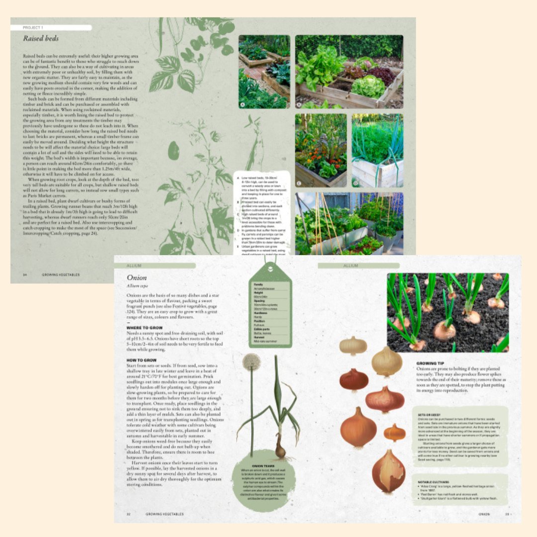 The Kew Gardener’s Guide To Growing Vegetables - The Flower Crate