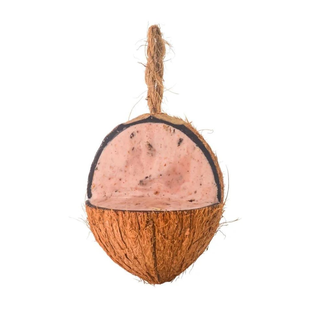 Top Flite - Wild Bird Coconut Feeder, Bug and Berry - The Flower Crate