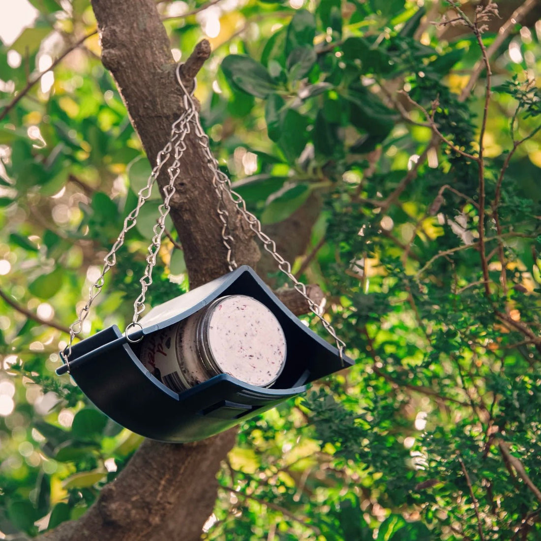 Topflite - Bird Butter Feeder - The Flower Crate