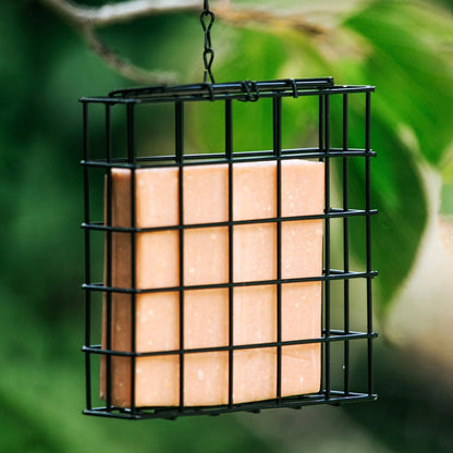 Topflite - Wild Bird Cake Feeder - The Flower Crate