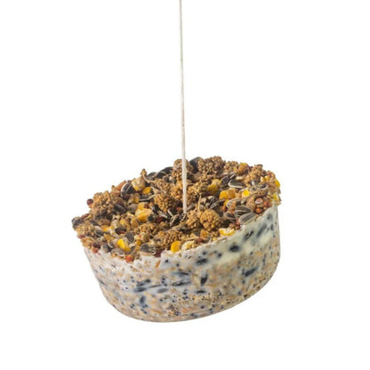 Topflite - Wild Bird Gourmet Treat Hanging - The Flower Crate