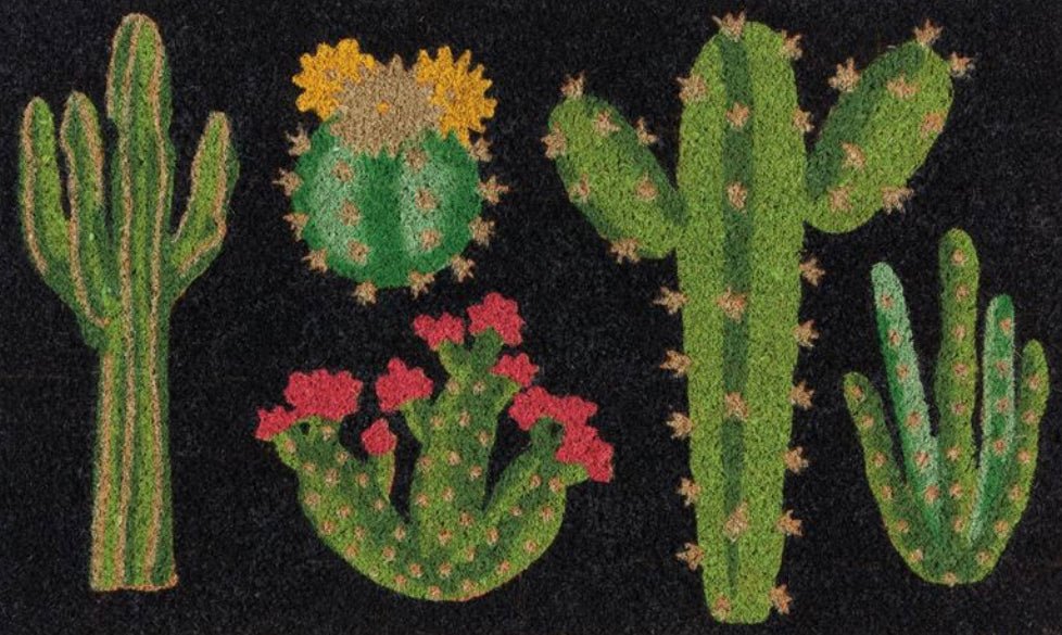 Botanical Cacti Doormat - The Flower Crate